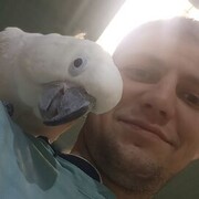 ���������� �������, ���� ������� Andrey, 28 ���, ������������ ��� ������, ����� � ���������, ���������