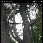  ,   , 54 ,   ,   