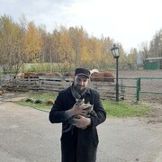 ���������� ������, ���� ������� �������, 41 ���, ������������ ��� ������, ����� � ���������, ���������