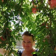 ���������� ������, ���� ������� ������, 56 ���, ������������ ��� ������, ����� � ���������, c�������� ���������