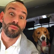 ���������� ���������, ���� ������� ������, 37 ���, ������������ ��� c�������� ���������