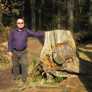  Freital,   , 68 ,   ,   , c 