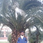 ���������� ����, ���� ������� �����, 35 ���, ������������ ��� ������, ����� � ���������, c�������� ���������