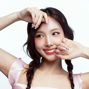 ���������� �����-���������, ����������