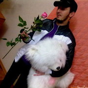 ���������� �����������, ���� ������� BriLLiant, 37 ���, ������������ ��� ������, ����� � ���������, c�������� ���������