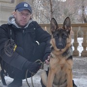 ���������� ��������, ���� ������� �������, 43 ����, ������������ ��� ������, ����� � ���������, c�������� ���������