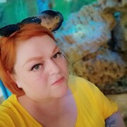  ,   , 38 ,   ,   , 