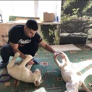 ���������� �����������, ���� ������� �����, 27 ���, ������������ ��� ������, ����� � ���������