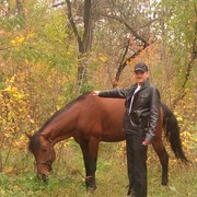 ���������� �������, ���� ������� ����, 39 ���, ������������ ��� ������, ����� � ���������, c�������� ���������