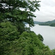 ���������� �������, ���� ������� ������, 28 ���, ������������ ��� ������, ����� � ���������, c�������� ���������