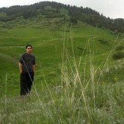  ,   , 43 ,   