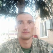  ,  , 43