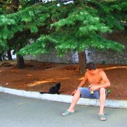  -,   , 43 ,   ,   , c 