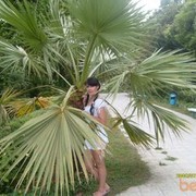 ���������� ������� ����, ���� ������� �����, 53 ����, ������������ ��� ������, ����� � ���������, c�������� ���������