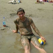  ,   Panda rau, 37 ,   