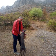 ���������� ��������, ���� ������� ������, 44 ����, ������������ ��� ������, ����� � ���������