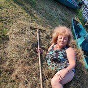  ,   , 66 ,   , 