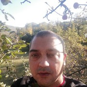  Vecses,  , 48