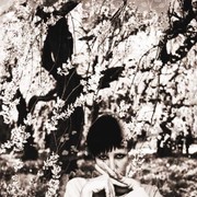 ���������� �������, ���� ������� �����, 44 ����, ������������ ��� ������, ����� � ���������, c�������� ���������