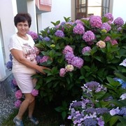  ,   , 61 ,   ,   , c 