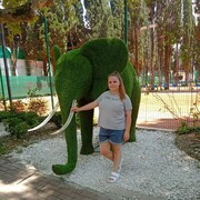 ���������� �����, ����