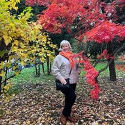 ���������� ������, ���� ������� �����, 46 ���, ������������ ��� ������, ����� � ���������