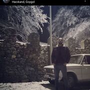 ���������� �����-���������, ���� ������� Amid, 33 ����, ������������ ��� ����� � ���������