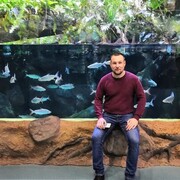 ���������� �������, ���� ������� ��������, 38 ���, ������������ ��� ������, ����� � ���������, c�������� ���������