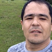  ,   , 41 ,  