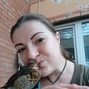  ,   , 36 ,   ,   