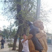  -,   , 48 ,   