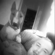 ���������� ������, ���� ������� Shelby, 35 ���, ������������ ��� ������, ����� � ���������, c�������� ���������