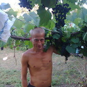 ���������� ����������, ���� ������� ��������, 38 ���, ������������ ��� ������