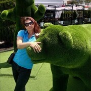 ���������� ����, ���� ������� �ks, 91 ���, ������������ ��� ������, ����� � ���������, ���������