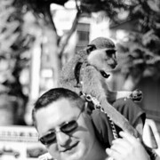  ,   Alex, 40 ,   c 