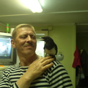  ,   , 54 ,   ,   , c 