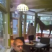 ���������� �����, ���� ������� �������, 37 ���, ������������ ��� ������