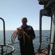 ���������� �����, ���� ������� �����, 36 ���, ������������ ��� ������, ����� � ���������, c�������� ���������