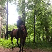 ���������� �����, ���� ������� ����, 34 ����, ������������ ��� ����� � ���������, c�������� ���������