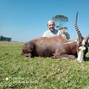 ���������� ����, ���� ������� Vladimir, 41 ���, ������������ ��� ������, ����� � ���������, c�������� ���������