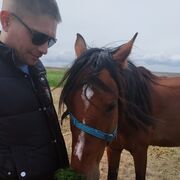 ���������� ������, ���� ������� �������, 41 ���, ������������ ��� ������, ����� � ���������