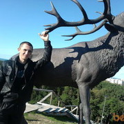  ,   Piw 29686159, 40 ,   