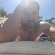  ,   Walbro, 31 ,   ,   