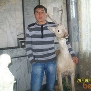  ,   , 41 ,   