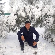 ���������� ������, ���� ������� ������, 50 ���, ������������ ��� ������