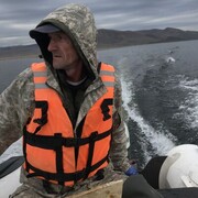 ���������� ������, ���� ������� ����, 48 ���, ������������ ��� ������, ����� � ���������, c�������� ���������