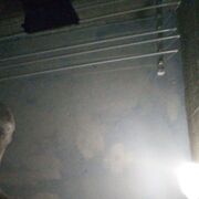  ,  , 21