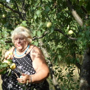 � ������ � �������