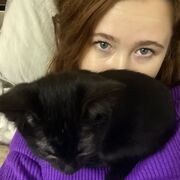 ���������� �����, Vio