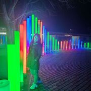 ���������� �����������, ���� ������� ����, 39 ���, ������������ ��� ������, ����� � ���������, ���������